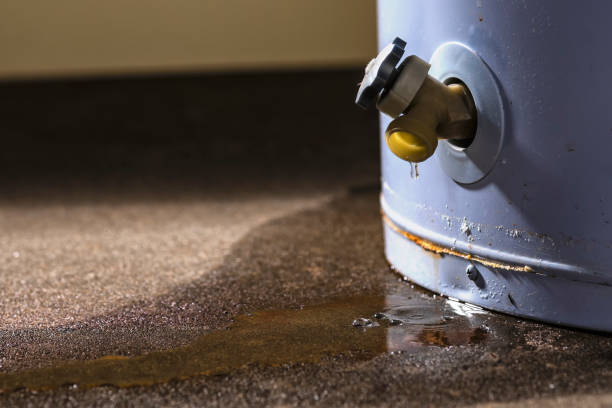 Best Professional water damage repair  in Chester Heights, PA