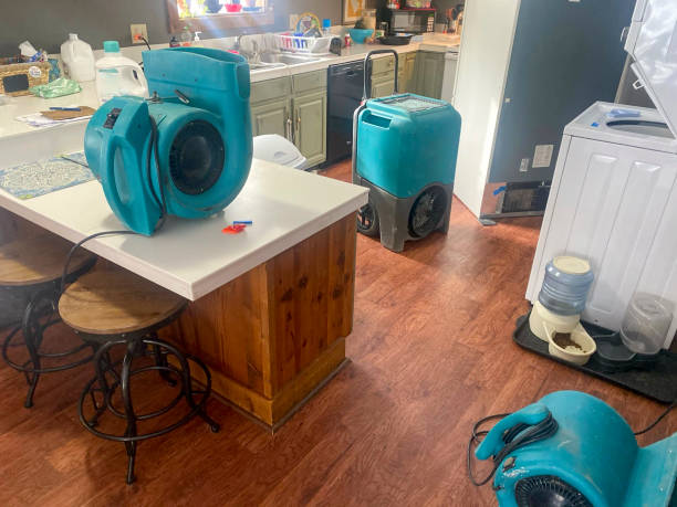 Best Flood damage cleanup  in Chester Heights, PA