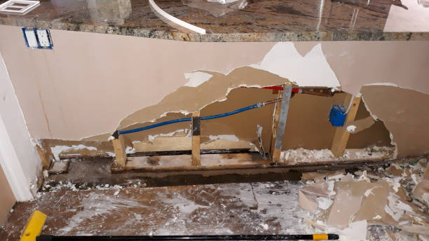Best Mold removal after water damage  in Chester Heights, PA