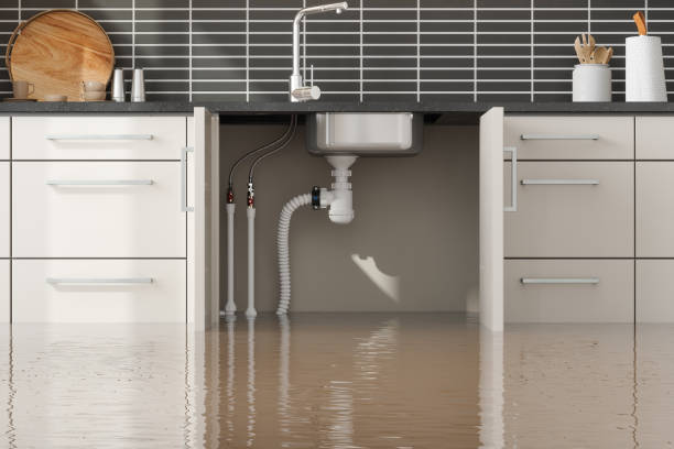 Best Commercial water damage restoration  in Chester Heights, PA
