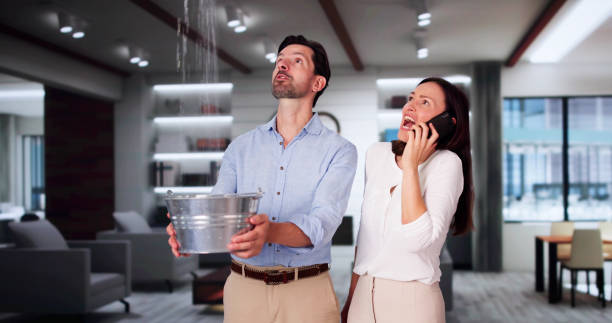 Best Water damage restoration near me  in Chester Heights, PA